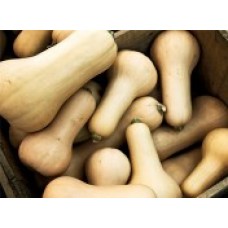 WALTHAM  BUTTERNUT