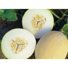 Pepene Galben ANANAS 